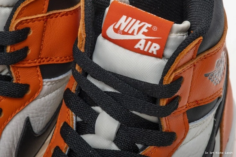 Shattered Reteo OG Jordan Air Reverse Backboard 555088-113 1 0109